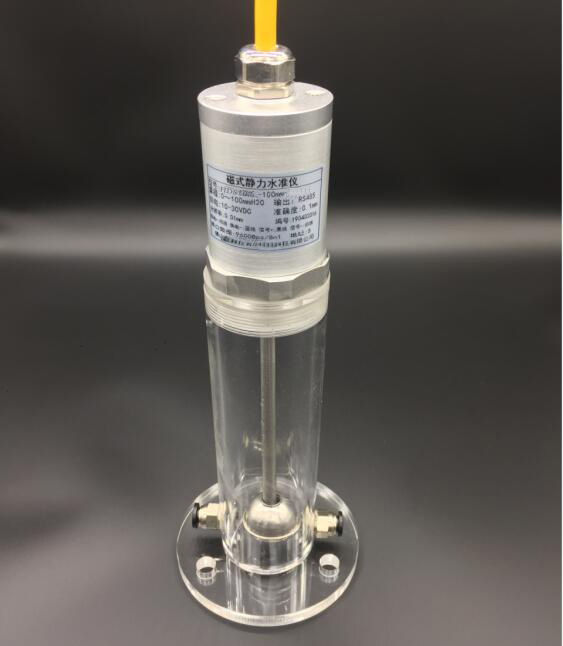 广东香蕉视频APP在线观看