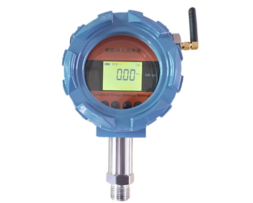 无线香蕉视频成人在线变送器